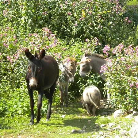 La D'hotes Du Moulin Gitenay Bed and Breakfast Κλερμόν Φεράν